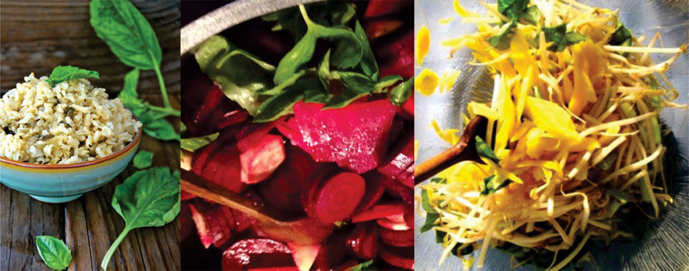 dietary-advice-banner